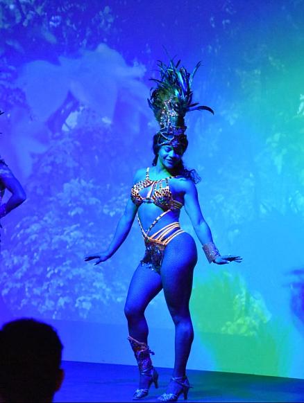 Shows d'animació