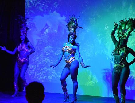 Shows d'animació