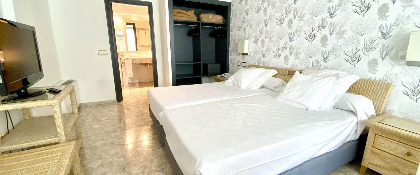 Suite Duplex Standard